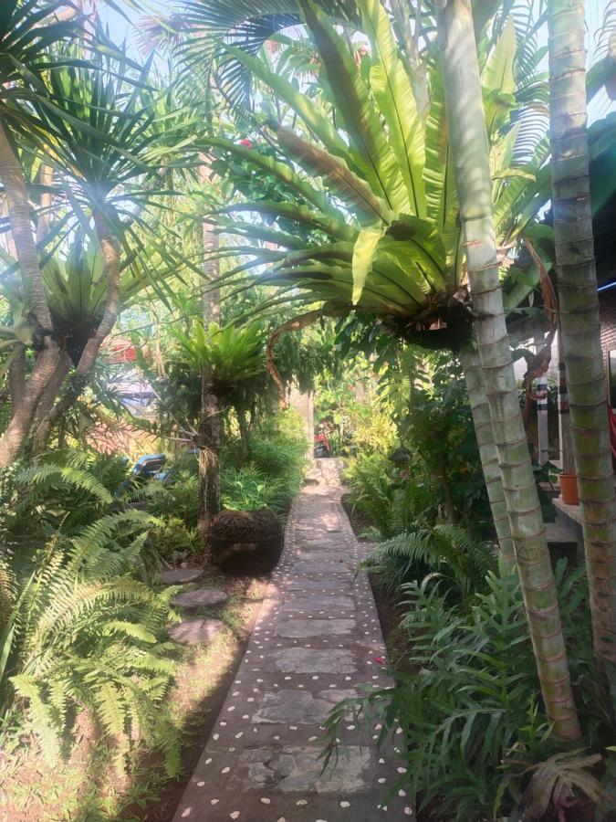 Comeback Guesthouse Canggu Exteriör bild