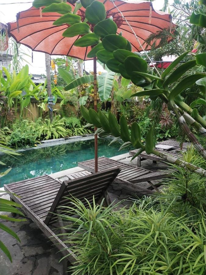 Comeback Guesthouse Canggu Exteriör bild