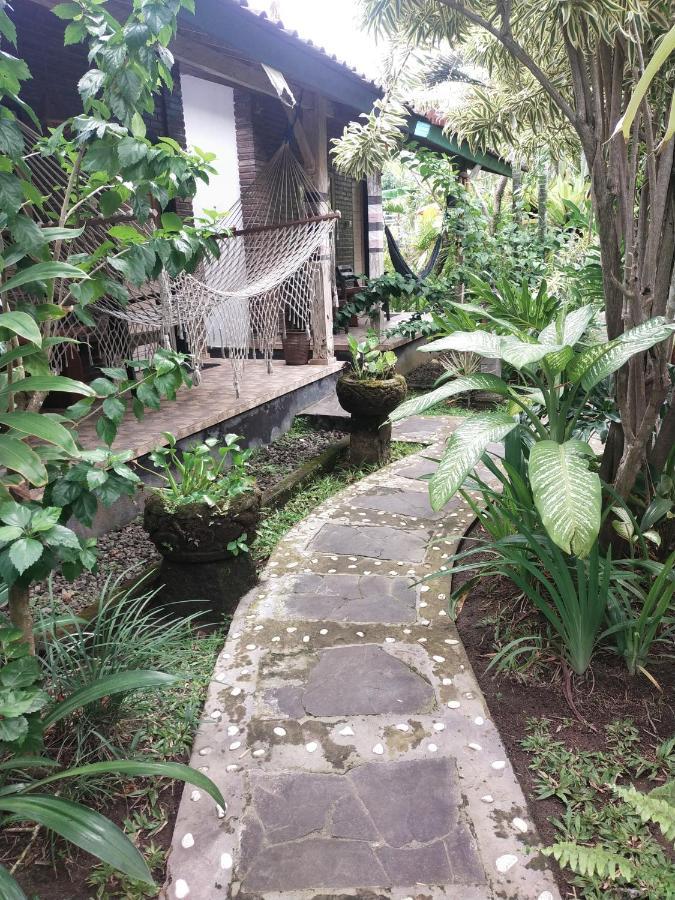 Comeback Guesthouse Canggu Exteriör bild