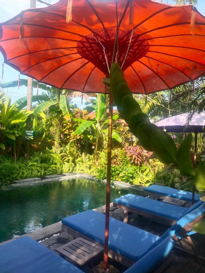 Comeback Guesthouse Canggu Exteriör bild