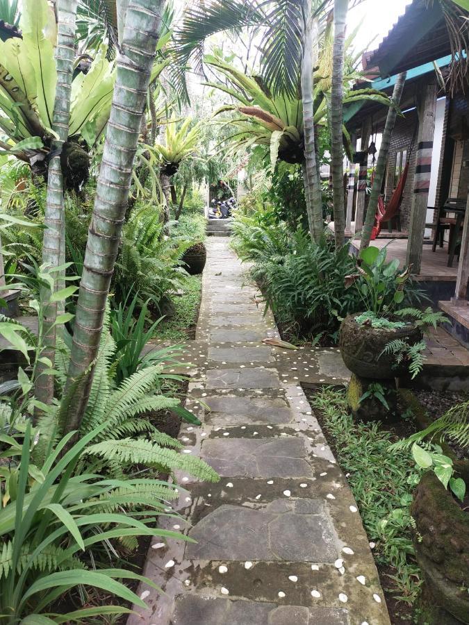 Comeback Guesthouse Canggu Exteriör bild