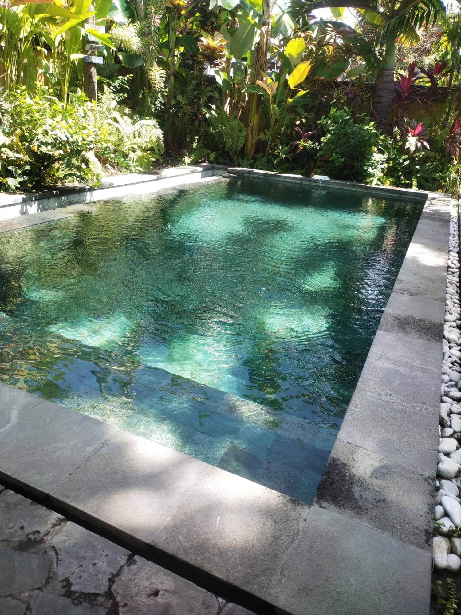 Comeback Guesthouse Canggu Exteriör bild