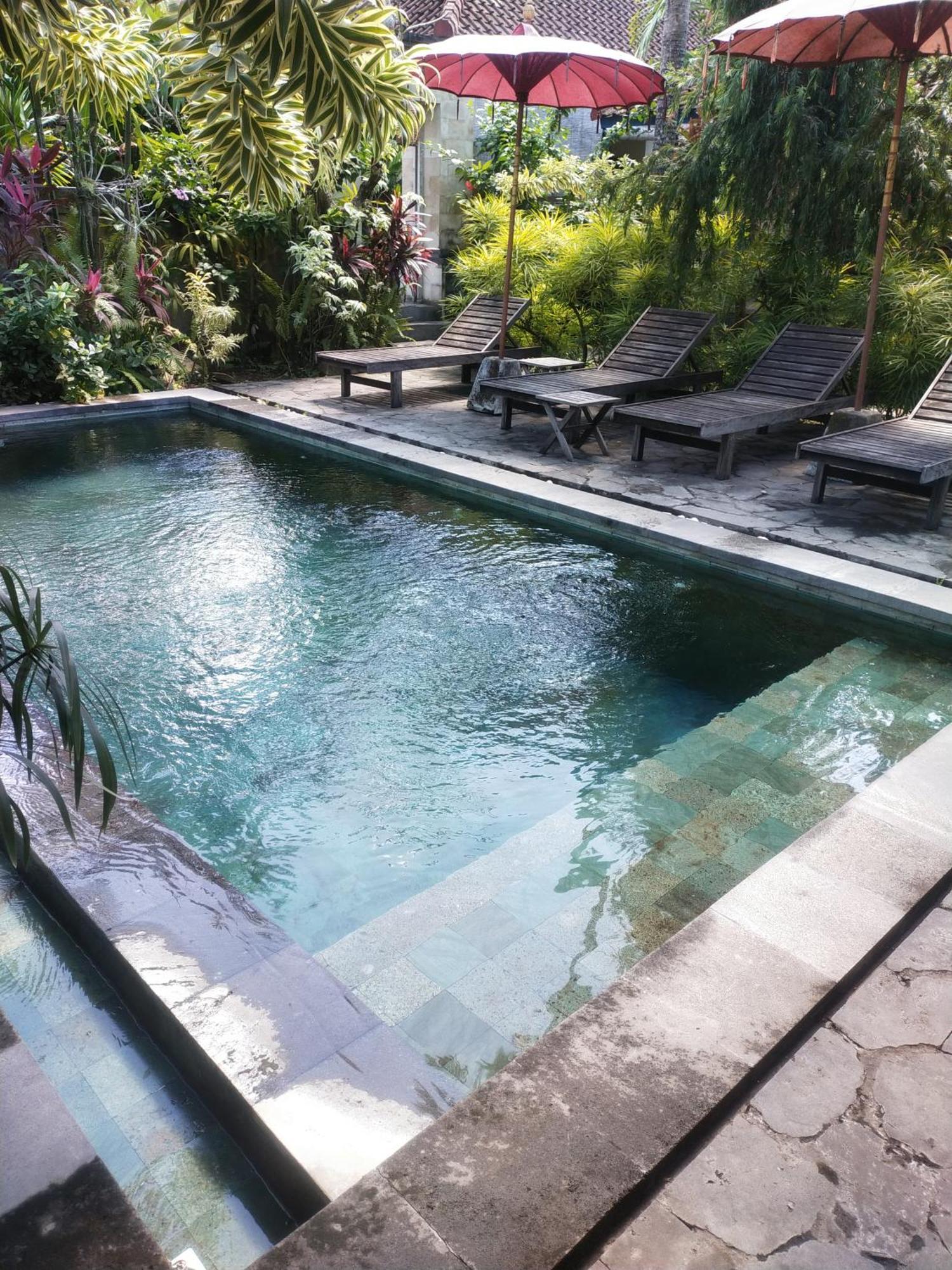 Comeback Guesthouse Canggu Exteriör bild