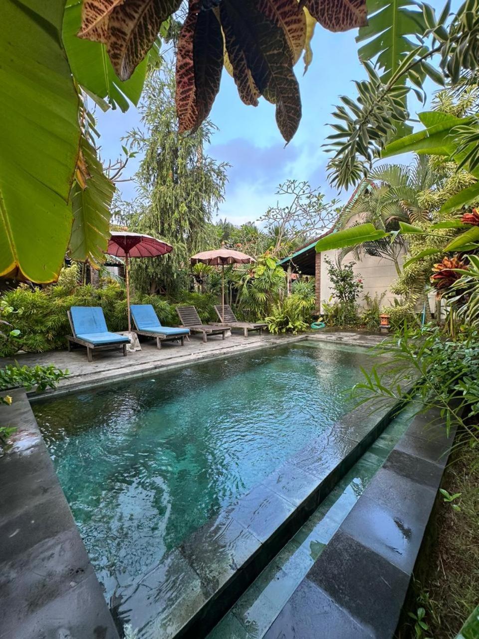 Comeback Guesthouse Canggu Exteriör bild