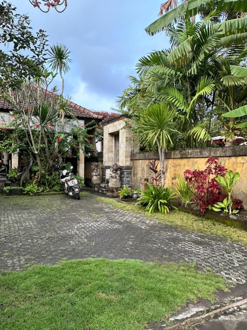 Comeback Guesthouse Canggu Exteriör bild